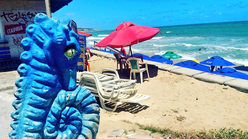 MARCIOBENJAMIN's tweet photo. #sol #protetorsolar #aguadecoco #cavalomarinho #praiasdorn #pontanegra #oceano https://t.co/DbPt9V7j4O