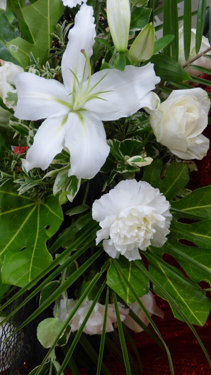 Not long until #Christmas. Might have to think about #FlowerArrangements for the dinner table. #SomethingChristmasy