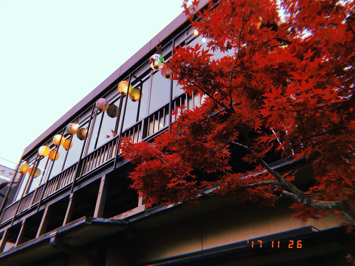 iyo__1008's tweet photo. uji https://t.co/t3zTPE1W8N