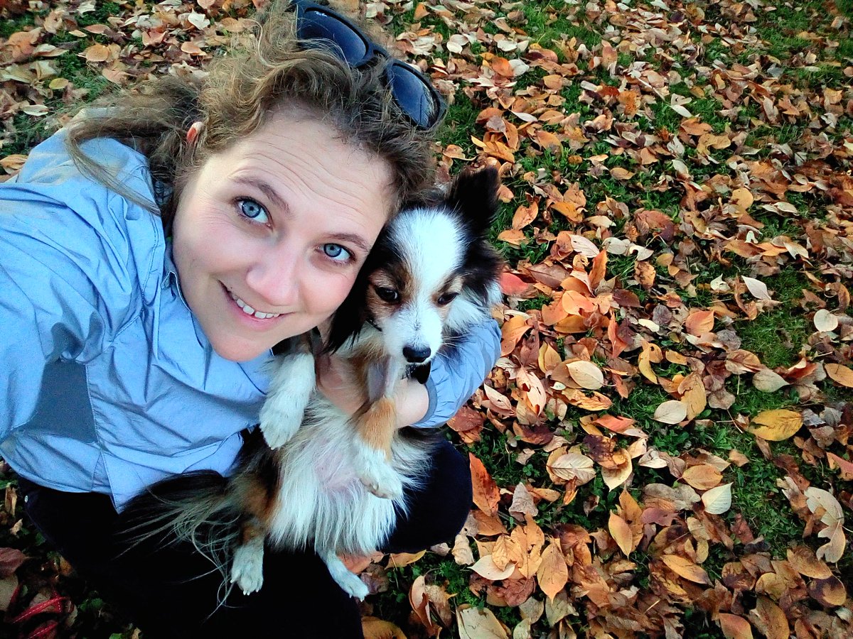 noravehi's tweet photo. We deserved a #HappySunday
#Gretel #prettylittlething #cancerfighter #letskeeponwalking #ilovemydog #shelterdogsrock https://t.co/AhoTRo3BuX