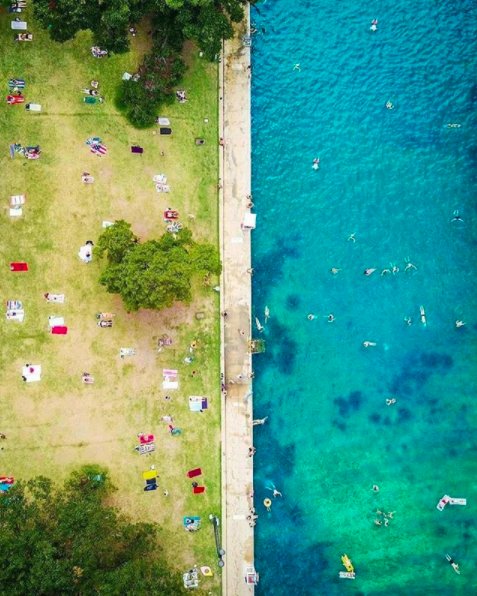 Barton Springs tweet media