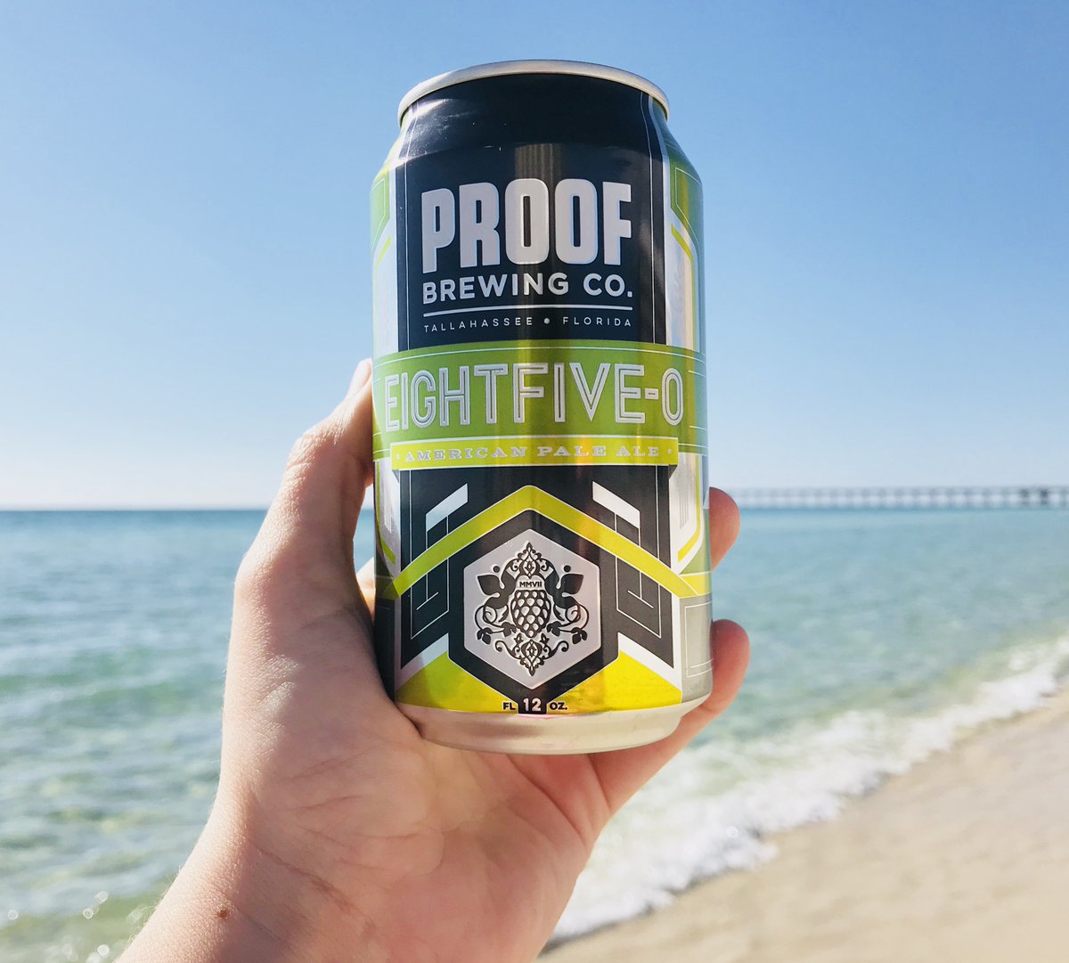 ProofBrewingCo's tweet photo. Sunshine and Eightfive-0 just go together. βοΈπ»#ProofInHand #FLbeer https://t.co/OOBf2RqNls