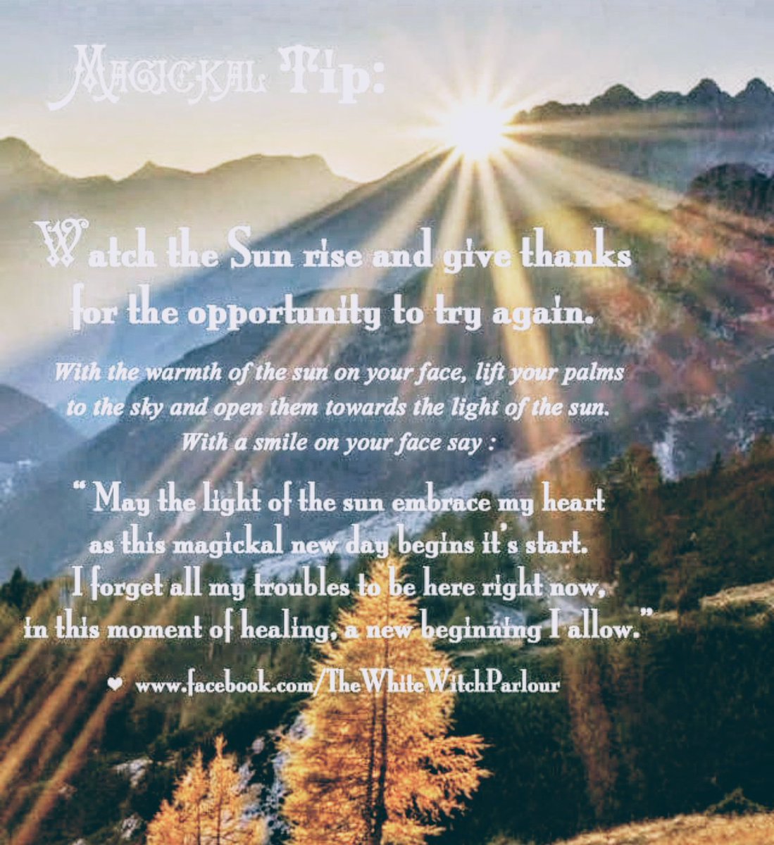 JennJGustafson's tweet photo. On this Day Ruled By The Sun, Give Thanks! #MagicalTip https://t.co/6AHsGQ72kc