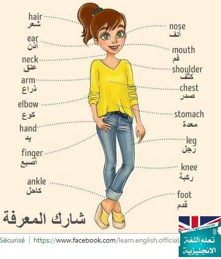 SimpleEnglish99 tweet picture