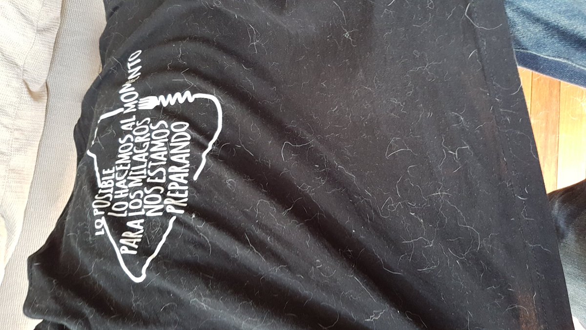 Gurky En Twitter A Chaque Fois Que Je Vais Chez Aiekillu Mes Vetements Accumulent Assez De Poils Pour Cloner 3 Svens J Ai L Impression D Etre Le Loup Garou Du Campus Help T Co A1fdpy8usc