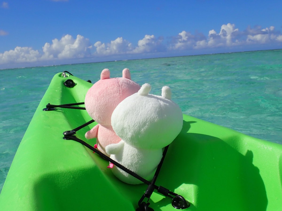 ごとう うさまらー V Twitter うさまる うさこ うさまらー コップのフチコ Usamaru 兎丸 Sakumaru カヤック カヌー Sea Canoeing Guam グアム 海