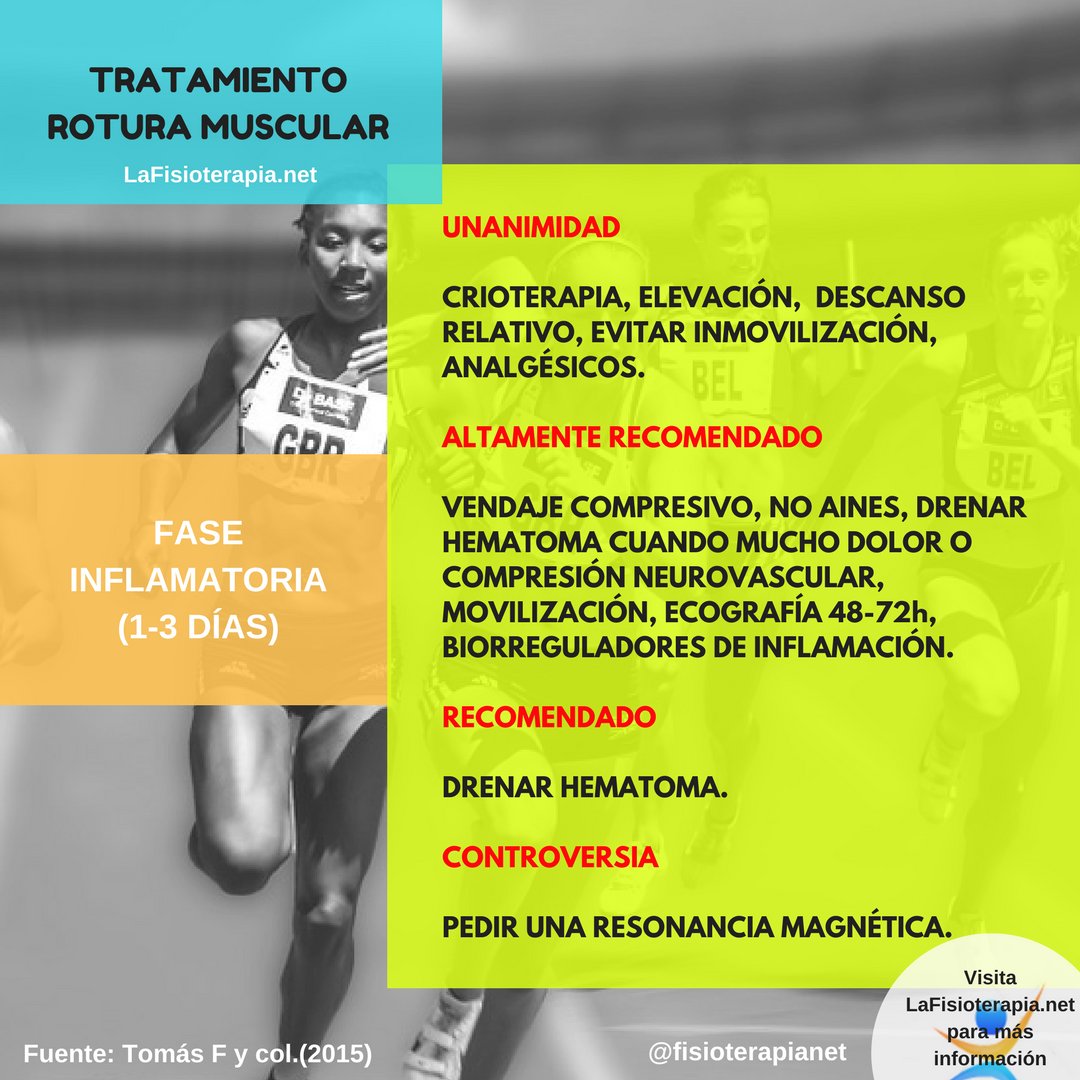 fisioterapianet's tweet photo. En vistas de que se ha hecho viral este finde, repetimos tweet...

🔝 Tratamiento de la rotura de fibras en 4 imágenes. 
📚Spanish Consensus Statement. The Treatment of Muscle Tears in Sport  (2015) de Tomás F y col.
Artículo del blog 👉https://t.co/dSPZmgYWQz https://t.co/hkswUcEbX4