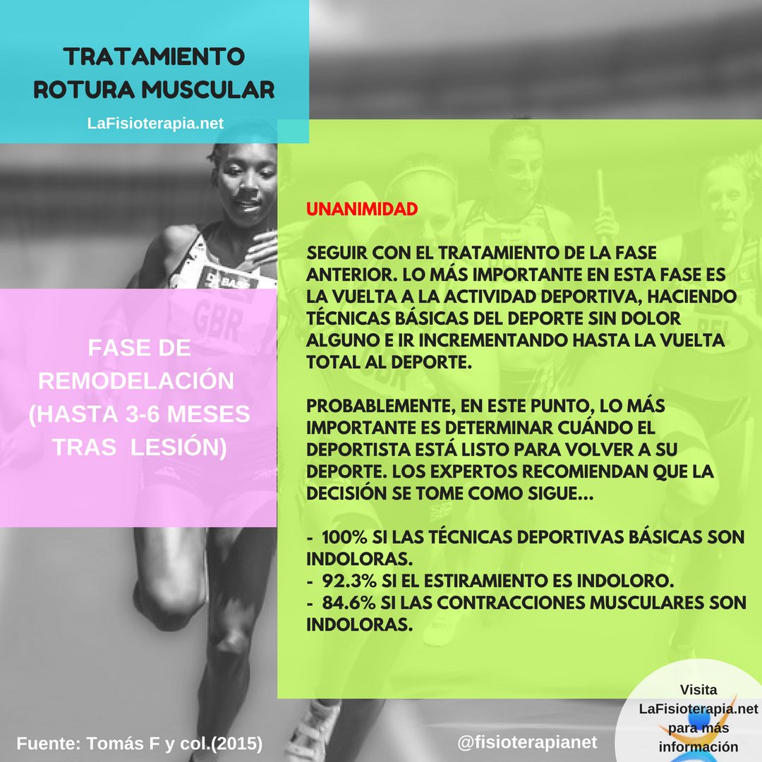 fisioterapianet's tweet photo. En vistas de que se ha hecho viral este finde, repetimos tweet...

🔝 Tratamiento de la rotura de fibras en 4 imágenes. 
📚Spanish Consensus Statement. The Treatment of Muscle Tears in Sport  (2015) de Tomás F y col.
Artículo del blog 👉https://t.co/dSPZmgYWQz https://t.co/hkswUcEbX4