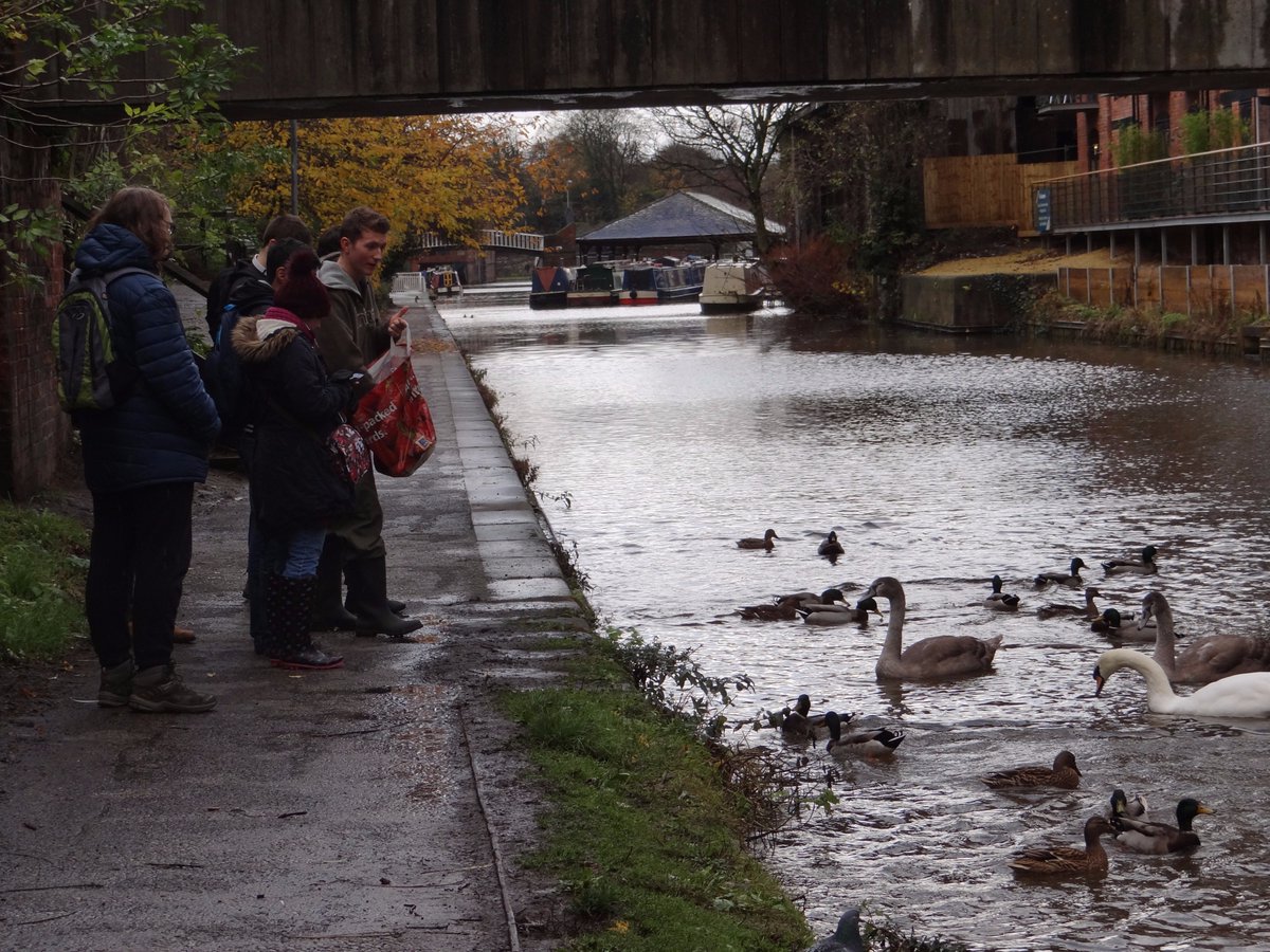UoCWildSociety's tweet photo. Cold and rainy but we had a great walk to the racecourse via the canal and river dee. Saw a cormorant sitting in loads of plastic along the canal though :( #plasticwaste #CSUsocieties #ChesterWild https://t.co/SrvYzEvN6H