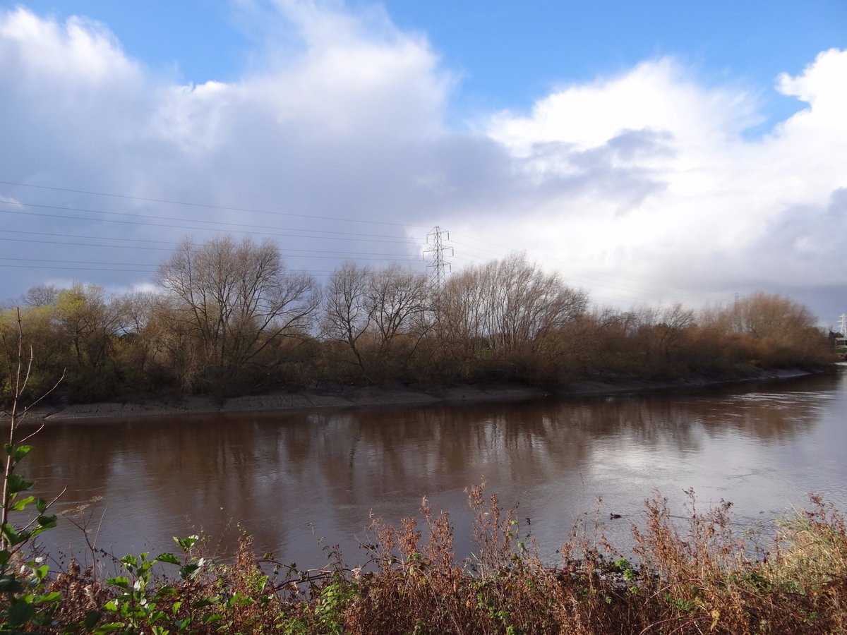 UoCWildSociety's tweet photo. Cold and rainy but we had a great walk to the racecourse via the canal and river dee. Saw a cormorant sitting in loads of plastic along the canal though :( #plasticwaste #CSUsocieties #ChesterWild https://t.co/SrvYzEvN6H
