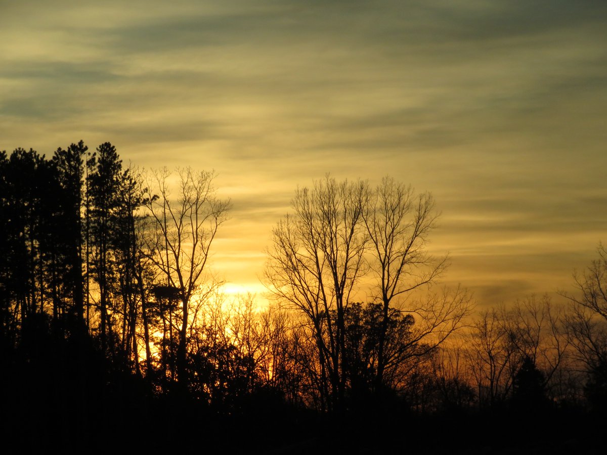 PLKlein_Author's tweet photo. "Working toward something usually works better than just wishing for it." ~ #PLKlein #ThinkBIGSundayWithMarsha #Working #Wishing https://t.co/svsxu3rfVi