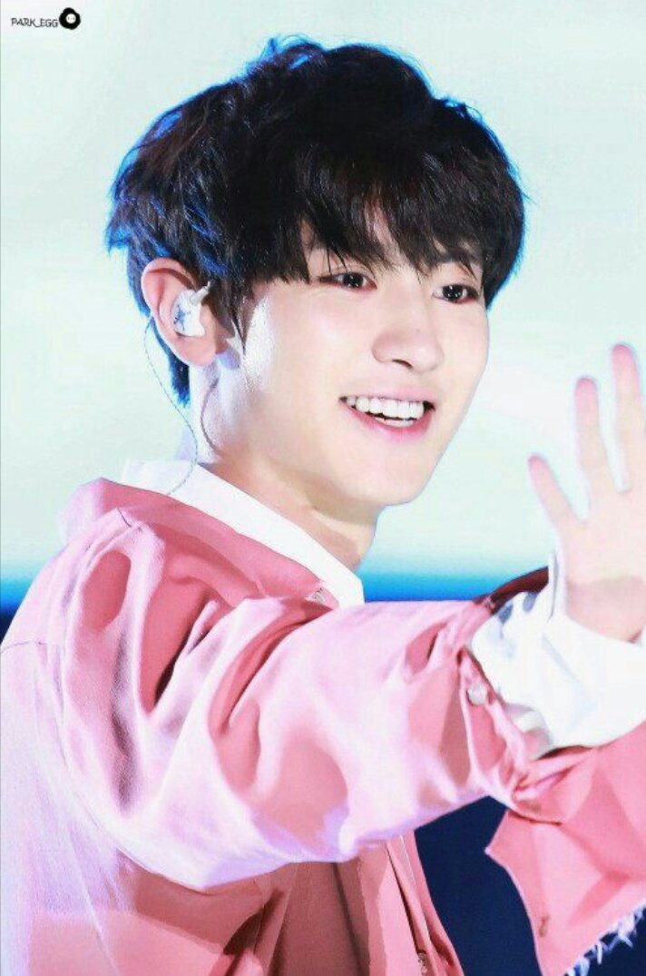 bear_car003's tweet photo. happy birthday my babe! you're always so beautiful 🌹💕
#박찬열 #Chanyeol #사랑해 #exo2017 ❤ https://t.co/fFoVC65kLw