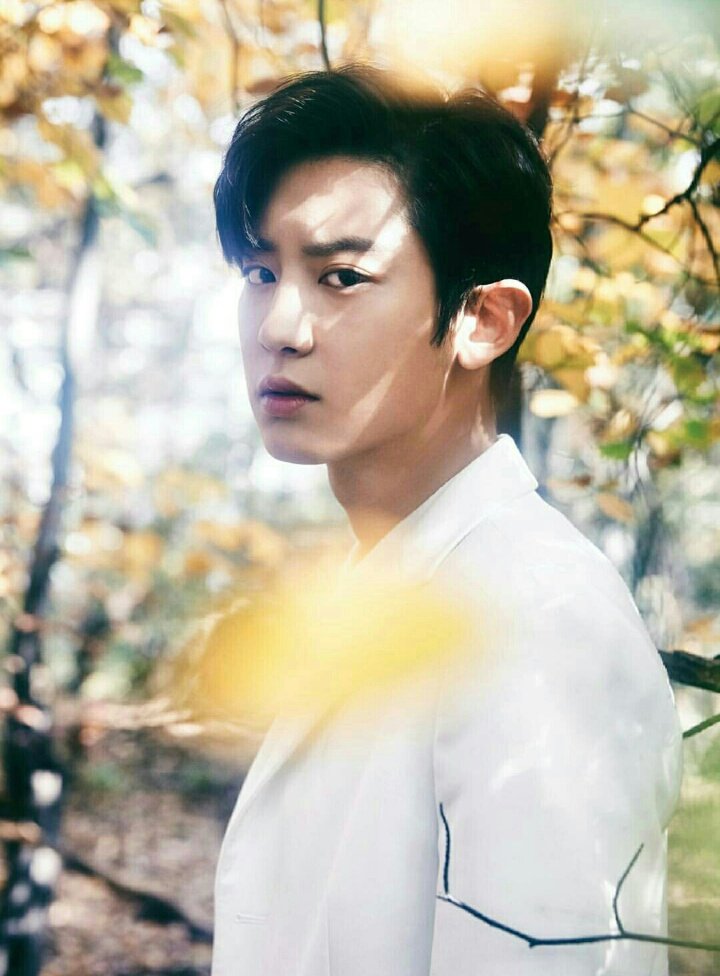 bear_car003's tweet photo. happy birthday my babe! you're always so beautiful 🌹💕
#박찬열 #Chanyeol #사랑해 #exo2017 ❤ https://t.co/fFoVC65kLw