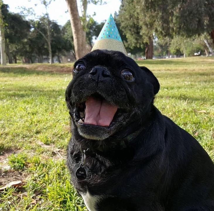 MendiSibiya's tweet image. When girls jus don&apos;t like each.😂😂😂😆
#DadChallenge