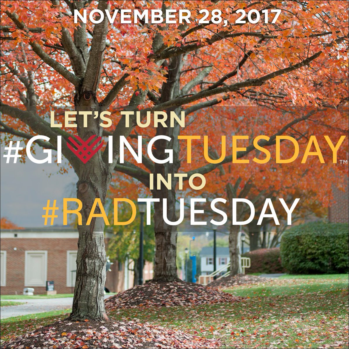 radfordu's tweet photo. Make #GivingTuesday #RadTuesday! Celebrate Highlander pride and support outstanding students! Make Giving Tuesday Rad Tuesday on Nov. 28. https://t.co/Dr9Q3i3kmX https://t.co/wHmfRKBPjI