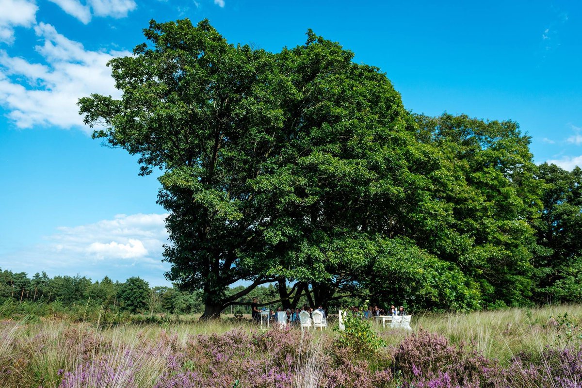 • PERFECTE TROUWLOCATIE 

Het was weer een heerlijke dag tijdens de Open Top Trouwlocatie Route. Aanstaande bruidsparen, fijn om u te ontmoeten en mee te mogen genieten van alle mooie trouwplannen.
demof.nl 

Fotografie: nufotograferen.nl 

#OTTLR #OTTLR17