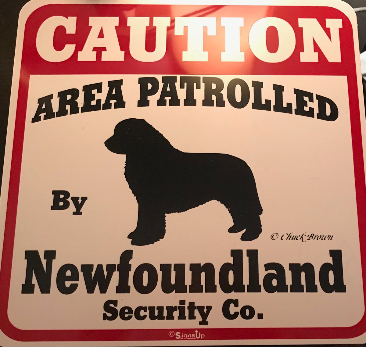 yellowlablover's tweet photo. My #new #newf #security #system 😍

#newf #newfi #newfy #newfie #newfoundland #newfoundlanddog #newfoundlandmom #rescuednewf #rescueddogsoftwitter ##blacknewfie #blacknewf #blackbeauty #photogenicnewfie #maryland #beautifulnewf #myhappiness #myeverydaysmile #newfoundlanowner https://t.co/T3UAZtValL
