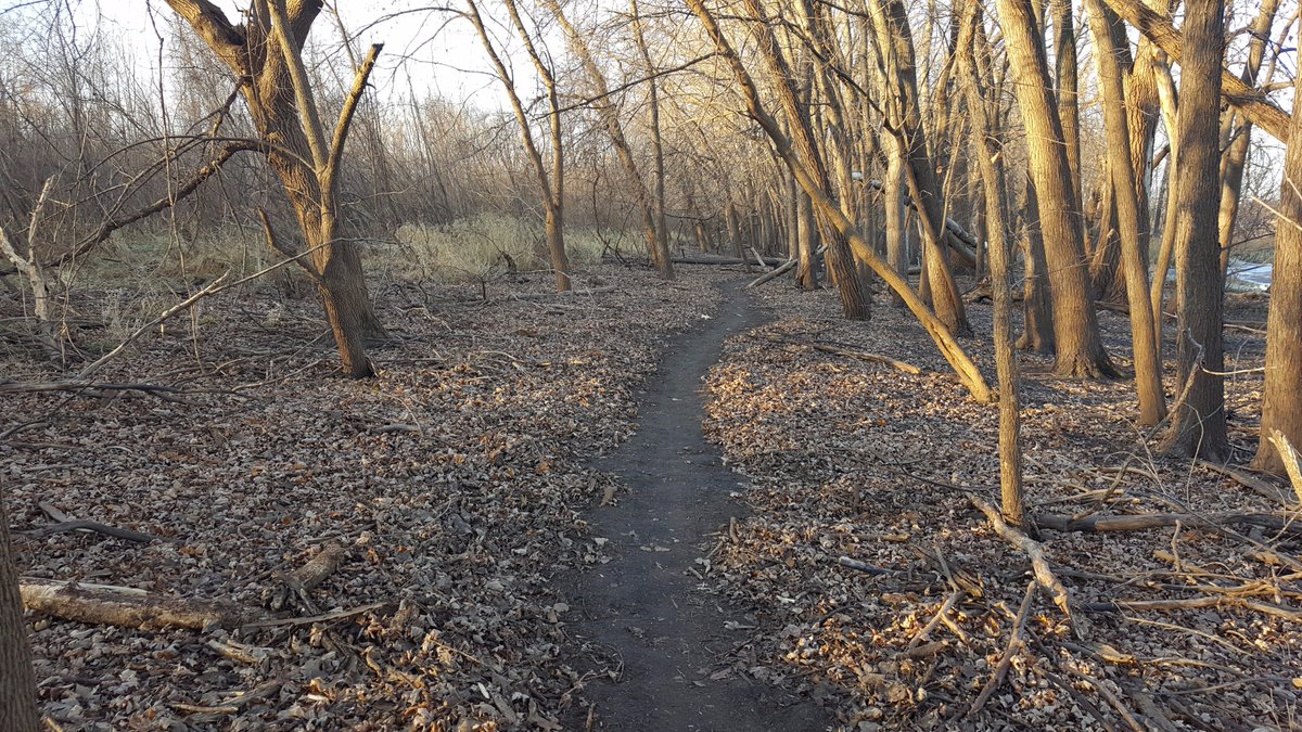penncycle's tweet photo. Pat, Chrissy & Chris took a ride yesterday morning to check out the work done by the Penn Cycle MTB Team on the Get Phat With Pat race course. This is going to be a fast course come January. #penncyclepat #GetPhatWithPat #fatbike #fatbikeracing #MNRiverBottoms https://t.co/Kml7JHEqpo