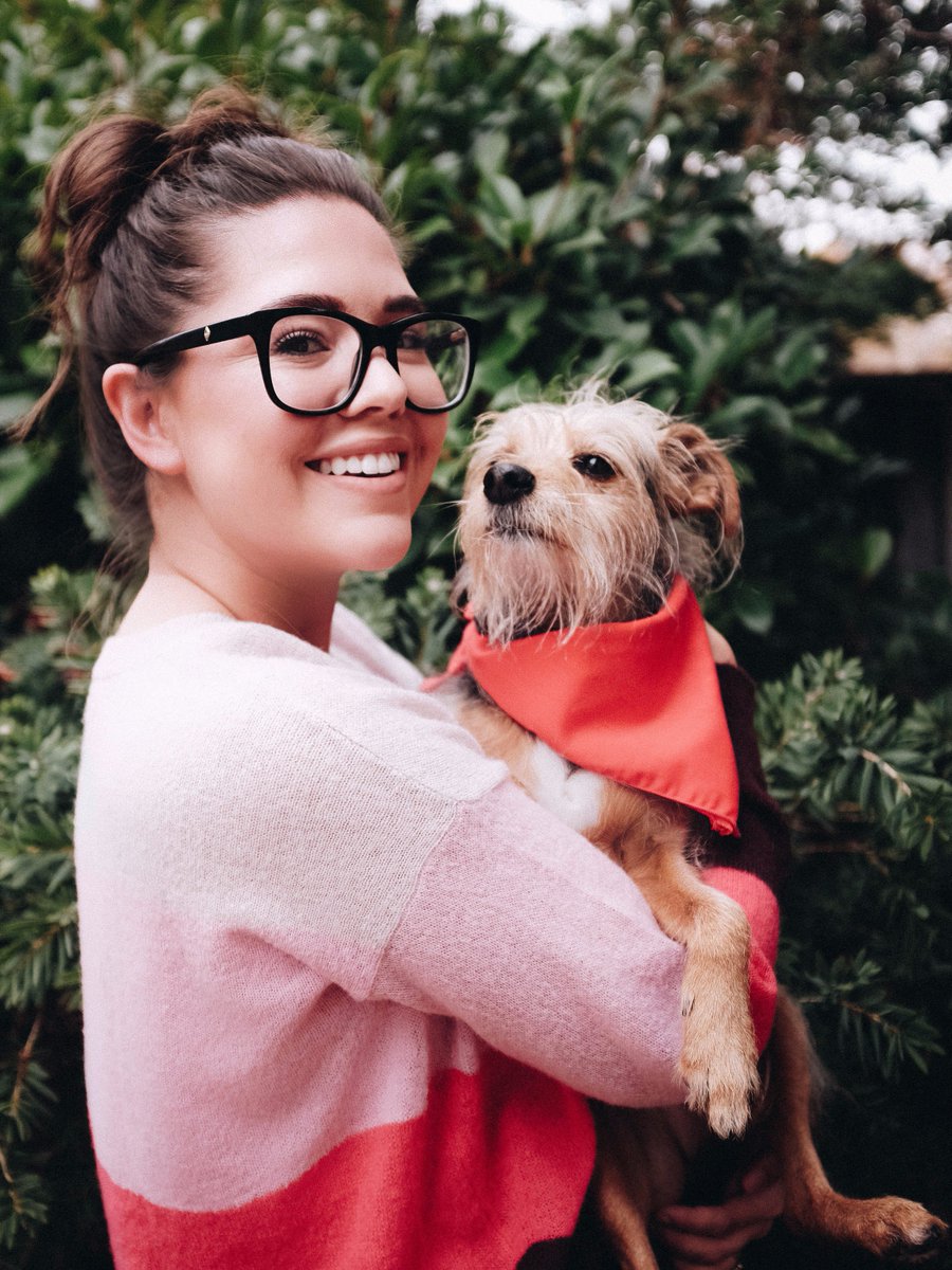 PSTheBlog's tweet image. Celebrating the #Pawlidayz with @Zappos to help give furry friends a new home - Find your shelter and more info at zps.to/bOzixEJ9 #ZapposForPets #Sponsored #zappos