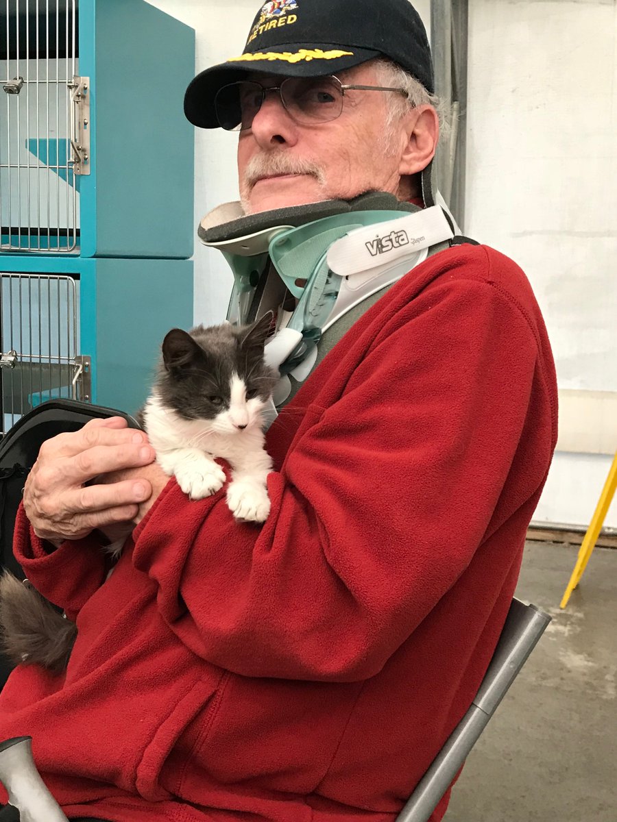 lmyhoffman's tweet image. Making our lives joyful again. Lost one angel, but found another. Who finds who? Than is the question #Pawlidayz #ZapposforPets #zappos