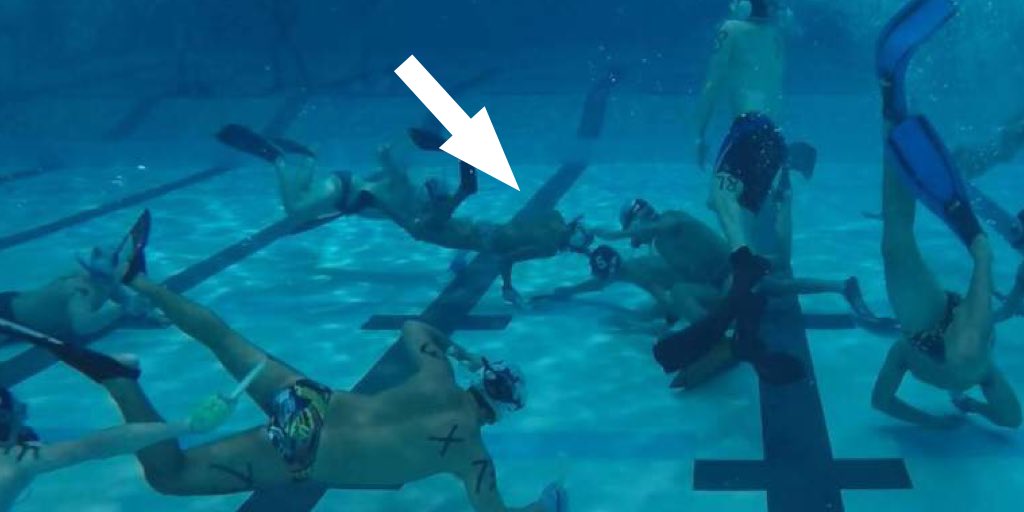ufwaterpolo's tweet photo. ***UPDATE 11/26*** #ScottFrost is now out of the #FloridaPool and drying off. Sources say he was content in the slow lane. Man w/Oregon shirt turned away for not having a UF ID. #DanMullen emerges from underwater. Turns out he was playing #UnderWaterHockey the entire time. https://t.co/CArfxh4ymg