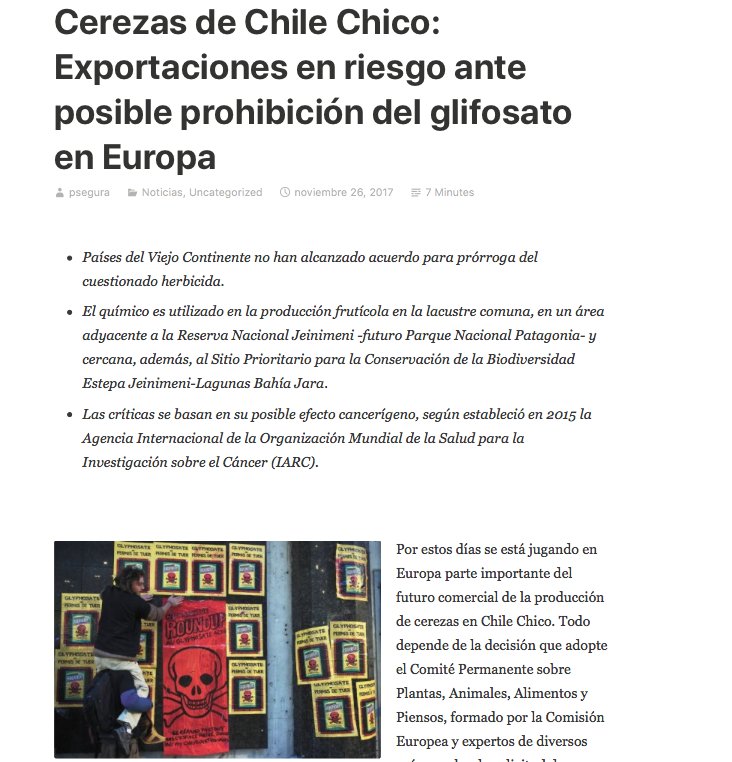despiertaAYSEN's tweet photo. Cerezas de Chile Chico: Exportaciones en riesgo ante posible prohibición del glifosato en Europa https://t.co/uhvCuQ4gOk https://t.co/SPryBtvZK1