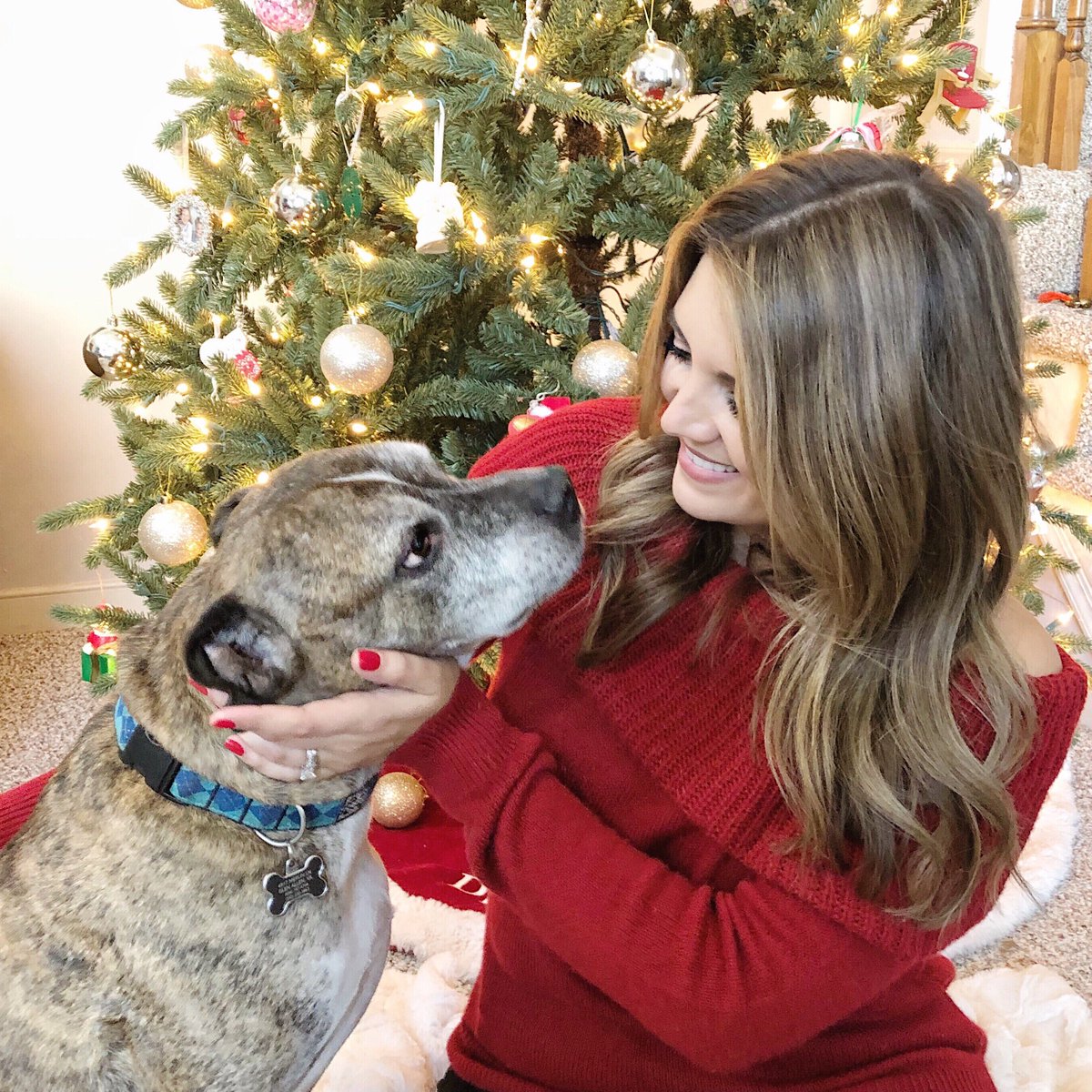 laurenmdix's tweet image. I adopted Tug 8 years ago + can&apos;t imagine my family without him! Bring home your own shelter pet this &quot;Home for the #pawlidayz&quot; weekend! @Zappos + @AnimalLeague are partnering to cover adoption costs! Details here: zps.to/bOzixEJ9 #zapposforpets #Ad #Zappos