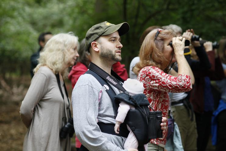 GoNatureForward's tweet image. Get introduced to the joys of birding during our free Beginner Bird Walk. Join us Saturday, Dec 2nd from 8 - 9 am outside the Audubon Naturalist Shop, 8940 Jones Mill Road in Chevy Chase, MD. Register at anshome.org/2017/04/beginn…