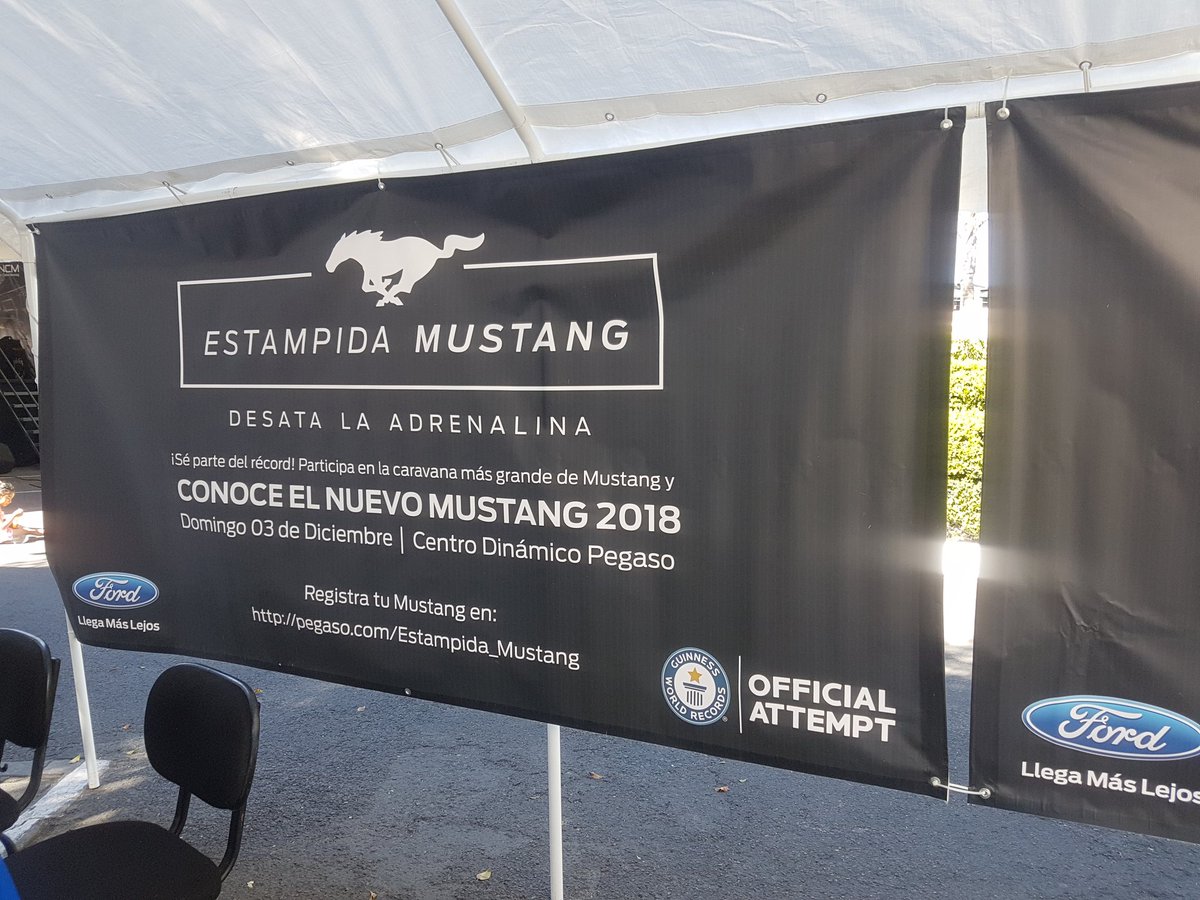 FNCM_Mx's tweet photo. Estamos registrando #EstampidaMustang en #MustangFest 2017
@FordMX https://t.co/2ltDDgQ6Sn