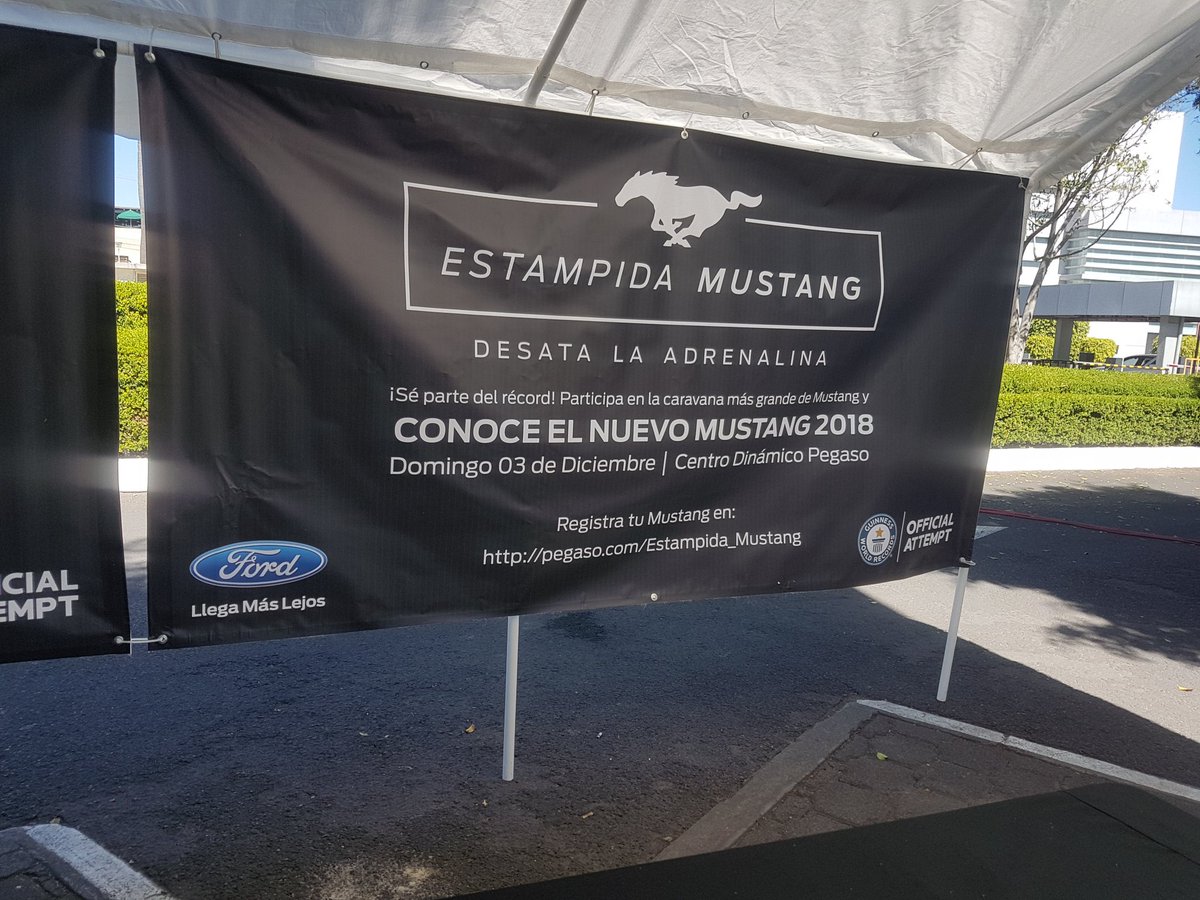 FNCM_Mx's tweet photo. Estamos registrando #EstampidaMustang en #MustangFest 2017
@FordMX https://t.co/2ltDDgQ6Sn