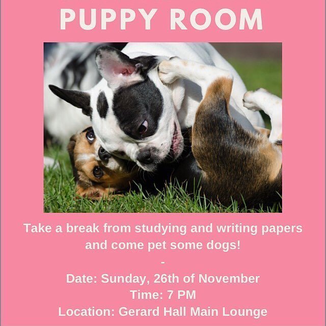 halifaxnoise's tweet photo. from @dalresidence — EXAMS GOT YOU DOWN? We bet some puppies will cheer you up! Puppy room is happening in the #GerardHall main lounge at 7:00PM TONIGHT! See you there! 🐶 #dalsweetdal #dalresidence #dalhousieu https://t.co/eEUSg7KoHB https://t.co/GneAT9TVzY