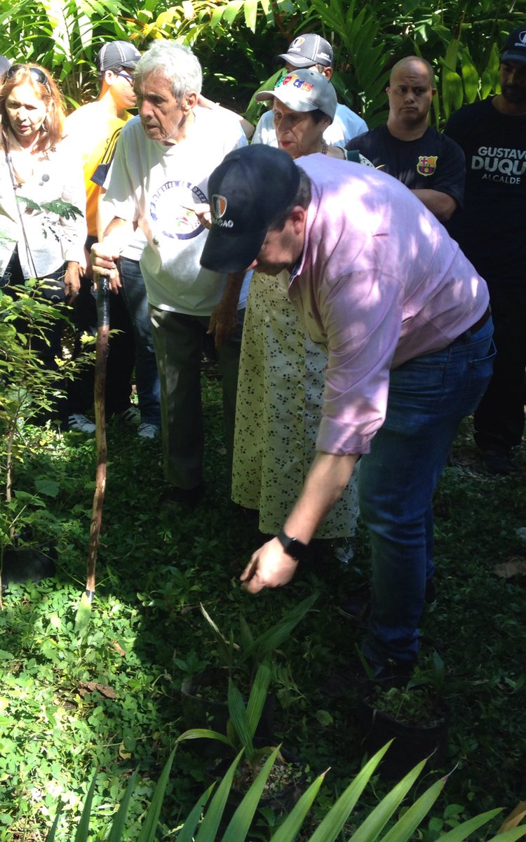 duquegustavoS's tweet photo. Estamos haciendo una visita al vivero de los palmeros de #Chacao una de las tradiciones más antigua de nuestro municipio. Vamos a rescatar esté y cada uno de nuestros espacios. #TrabajandoXChacao #26N https://t.co/QyQ57eRyjT