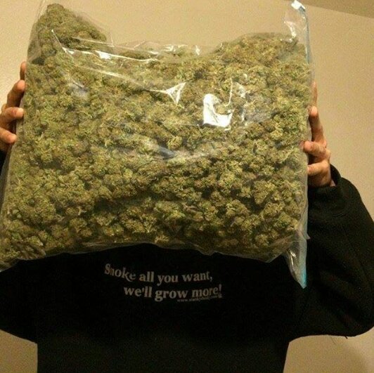 DarylPiper2's tweet photo. Need good quality weed? Am your guy .home delivery https://t.co/2z6g6dKFN9