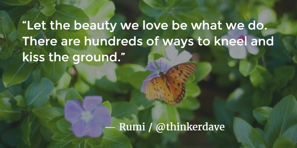 KevinMichael999's tweet photo. Let the beauty we love be what we do. — Rumi

#Rumi #quote #love https://t.co/CwM5zaY1yw