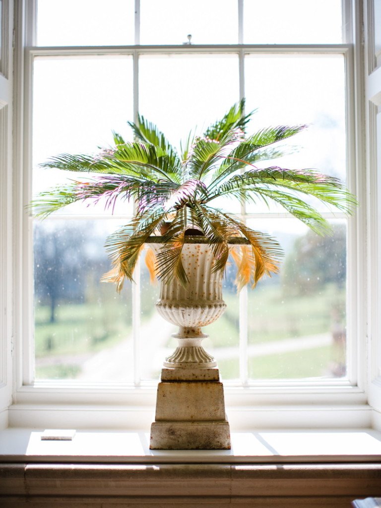 PynesHouseDevon's tweet photo. Brides & Grooms, are you looking to get married in 2018?
We have a handful of late availability dates for weddings in Spring, Autumn and Winter 2018.
https://t.co/JYSrhuRNmk Images by @WOOKIEphoto #PynesHouse https://t.co/77KKJpcSdG