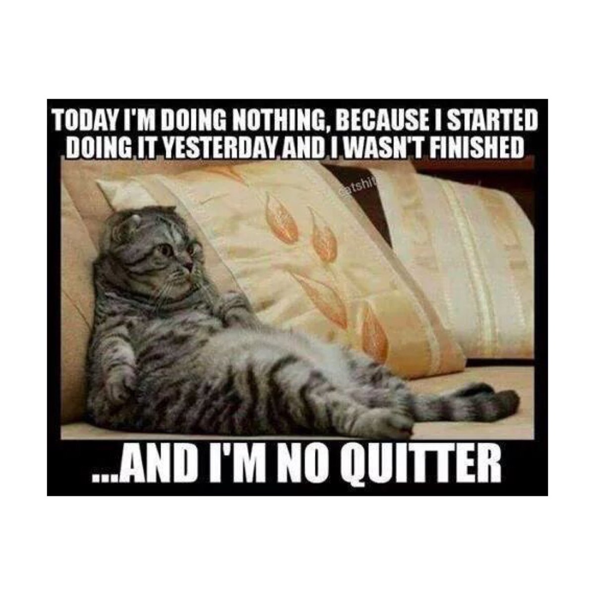 ladieswhorock's tweet photo. #SundayFeelings #TLC #R&R #NoQuitter #LWR17 https://t.co/3hEqGfScEz