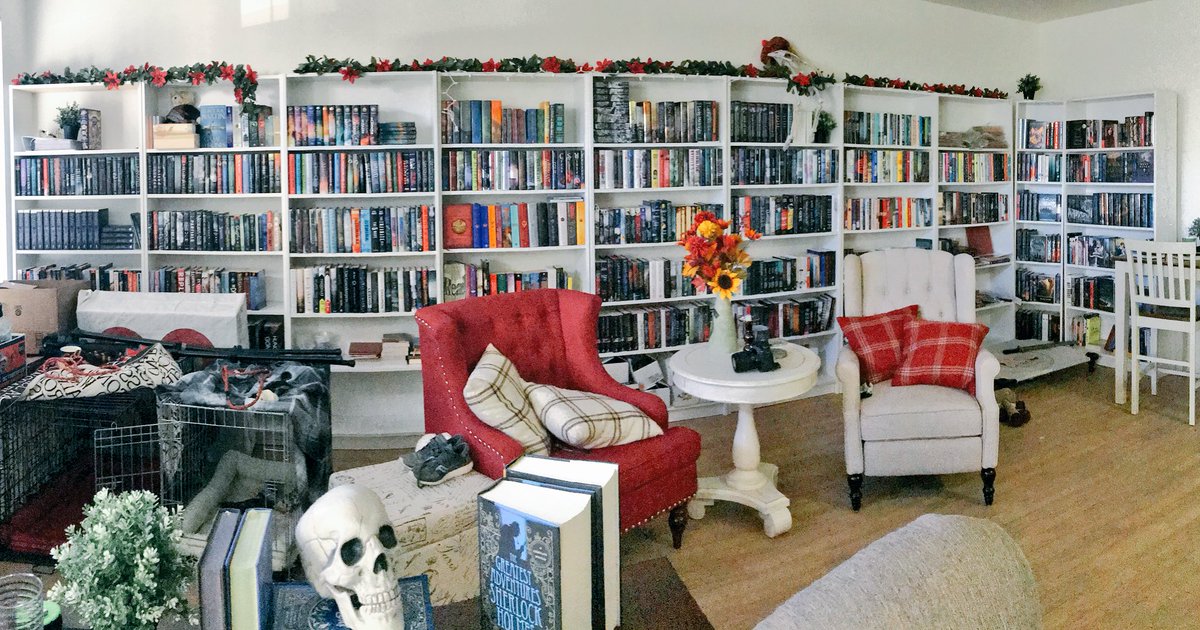 Sasha Alsberg tweet media