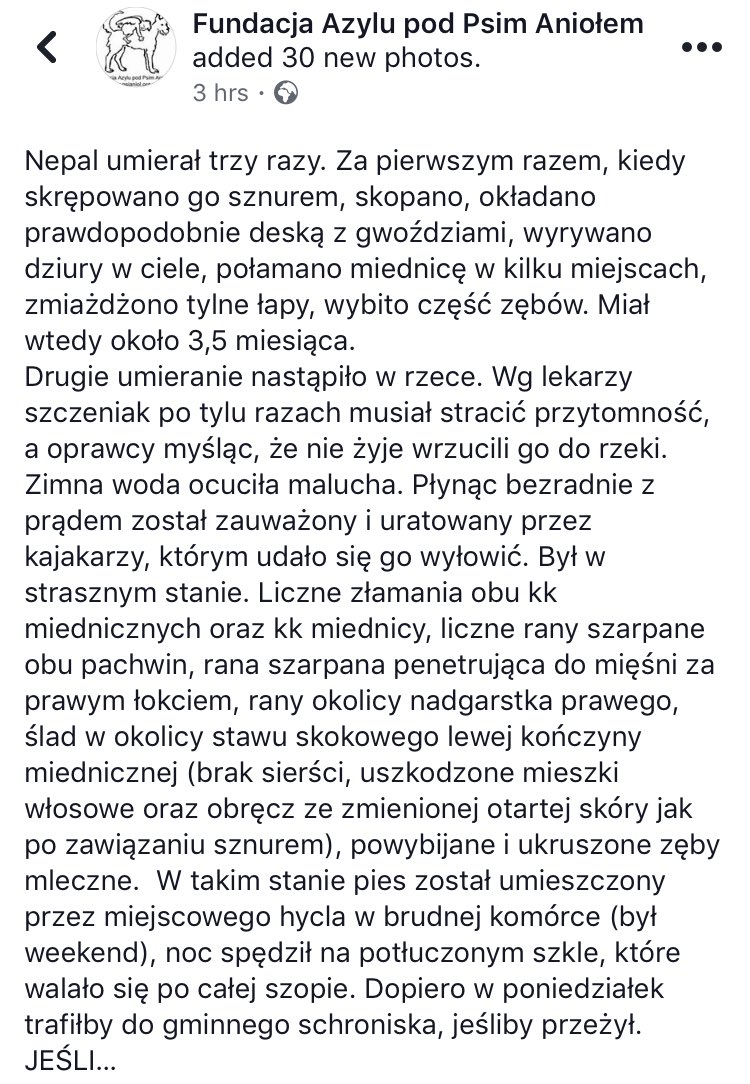 yuurisviktor's tweet photo. BŁAGAM POMÓŻCIE NEPALOWI!!!!
maluch przeszedł przez piekło nie mając jeszcze czterech miesięcy! koszty licznych operacji wyniosły 13 500 zł, proszę nie pozostawajcie obojętni i wpłaćcie choć niewielką kwotę!
rachunek bankowy: 03 1020 1042 0000 8802 0109 6528 dopisek: Nepal https://t.co/EKQsmdWteT