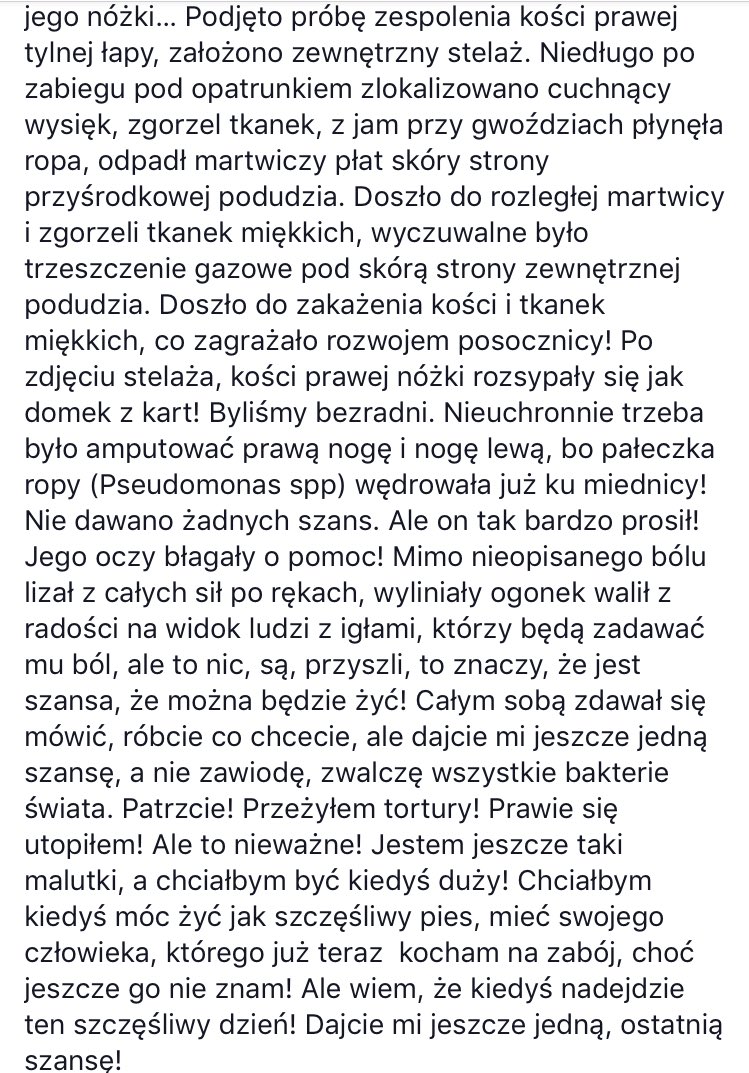 yuurisviktor's tweet photo. BŁAGAM POMÓŻCIE NEPALOWI!!!!
maluch przeszedł przez piekło nie mając jeszcze czterech miesięcy! koszty licznych operacji wyniosły 13 500 zł, proszę nie pozostawajcie obojętni i wpłaćcie choć niewielką kwotę!
rachunek bankowy: 03 1020 1042 0000 8802 0109 6528 dopisek: Nepal https://t.co/EKQsmdWteT