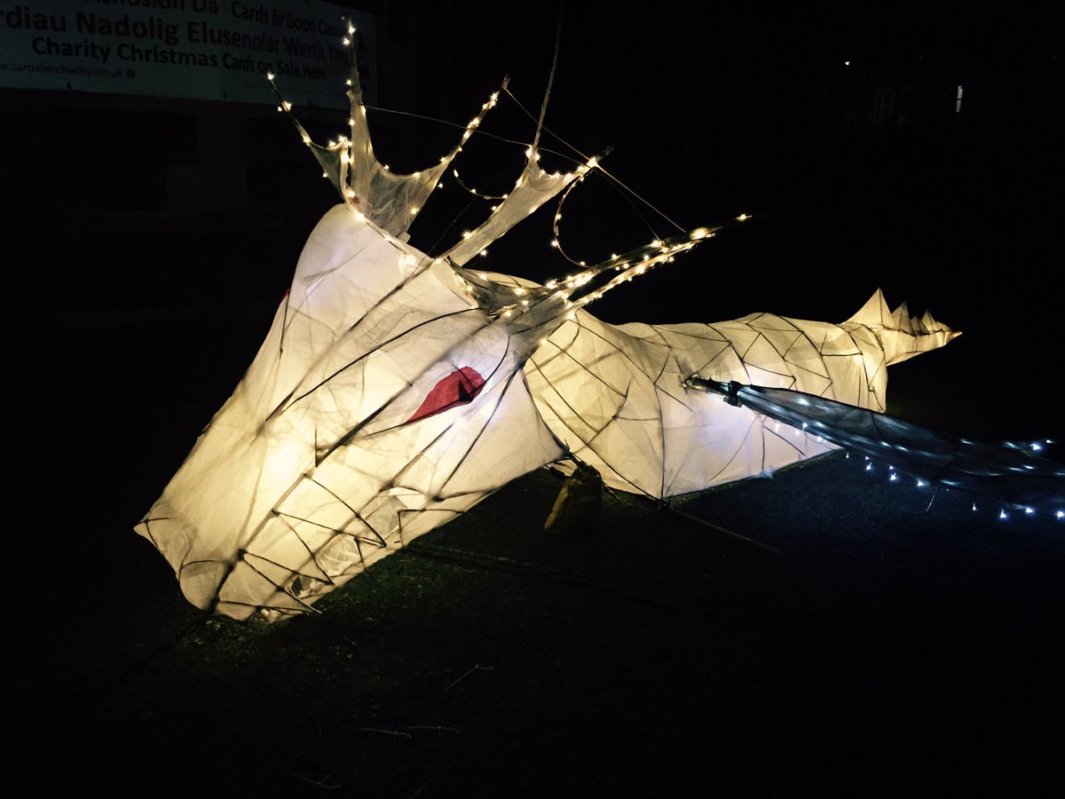 porrocardiff's tweet photo. Amazing effort tonight @roathlanterns ✨supporting @LlamauUK @NoahsArcFdn https://t.co/HPIIrtJEQq