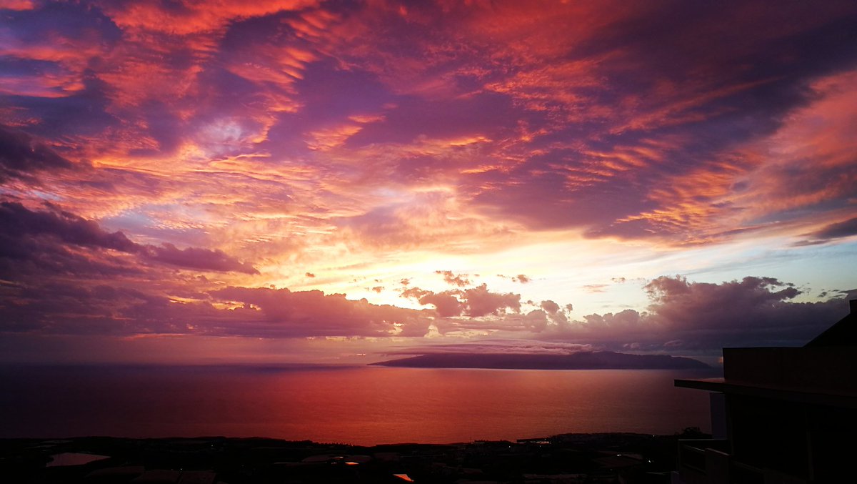 DEFARDEL Fotografía tweet media