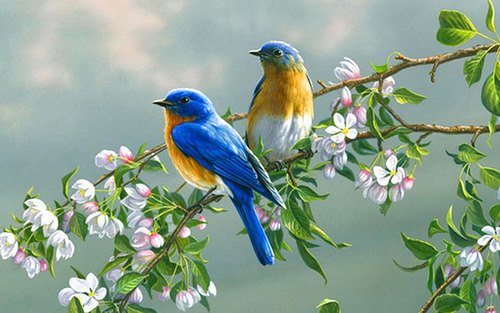Andaleeb1999's tweet photo. سبحان •اللّـہ̣̥  وبحمده

🌸🌸🌸🌸🌸🌸

سبحان •اللّـہ̣̥   العظيم https://t.co/xso7n7SHJm