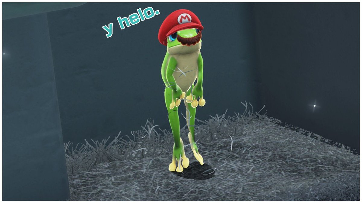 Real_Bossclips's tweet photo. #FrogMario #SuperMarioOdyssey #NintendoSwitch https://t.co/yey112pWls