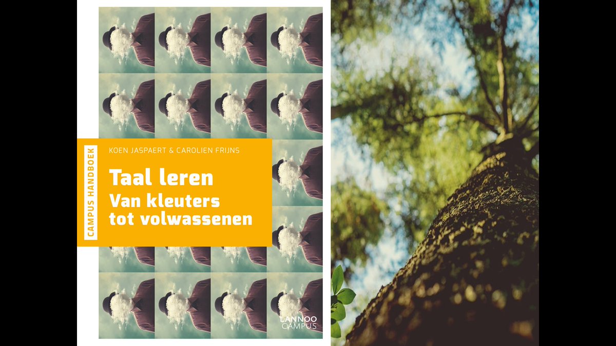 CarolienFrijns's tweet photo. Twee slides uit mijn pecha kucha op het @wooowfestival vandaag. Over hoe we alle kinderen wortels kunnen geven, en vleugels. @dagvdwetenschap #dvdw2017 https://t.co/s8tZ4aCubN