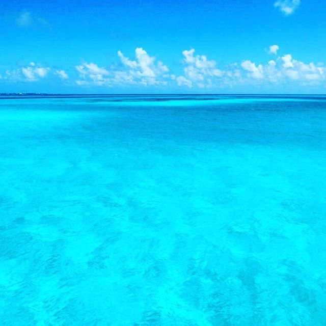 pi_art's tweet photo. Blue Tulum #tulum #sea #blue #sky #turquoise #water #dream #explore #views #pictureoftheday #photooftheday #clouds #azul #coordenadaperfecta https://t.co/49OilyQe7U