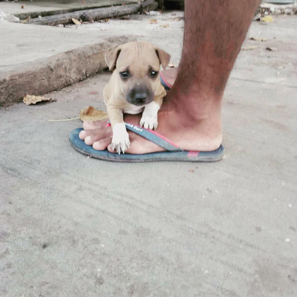 MhuKyaw's tweet photo. He starts my day <3 https://t.co/Y1Ujt7MT3u