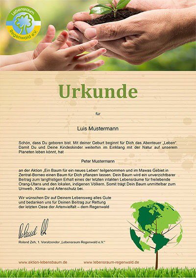 We plant a tree  - for our future #rainforest #Sustainability