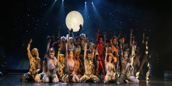 gaymlm's tweet image. Five reasons you should see Cats on Broadway before it closes #LGBT gaystarnews.com/article/5-reas…