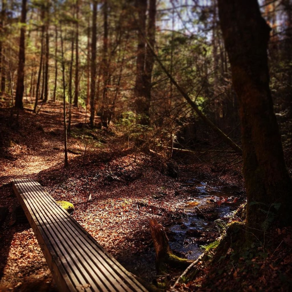 chemphill's tweet photo. Last time I walked up this path was in 1999. I was such a kid and absolutely crazy to climb every second of every day. Years later - nothing had really changed 🤪🤩🧗🏻‍♀️😍 #redrivergorge #leftflank #tableofcolors #ohhenry https://t.co/b7XZOrXZW8 https://t.co/iGPkwntVzD