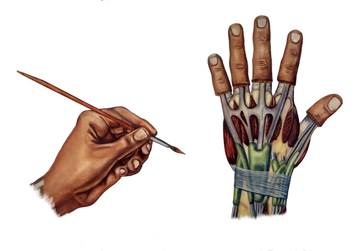 HandmasterPlus's tweet photo. Artists open to repetitive grip injuries to hand, thumb, wrist, carpal tunnel &amp; elbow. Tough to grip small item. https://t.co/bV35uM031I #HandmasterPlus https://t.co/bggvaTjerC